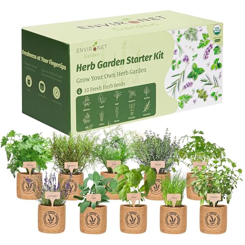 10 Indoor Herb Garden Kit- Burlap Pots, Organic Seeds, Herb Garden Planter Indoor Kit, Easy Window & Kitchen Herbs Growing Kit, Cilantro, Basil, Sage, Oregano, Parsley, Dill, Chives etc. - color: Basil, Parsley, Chives, Cilantro, Dill, Sage, Oregano, Thym