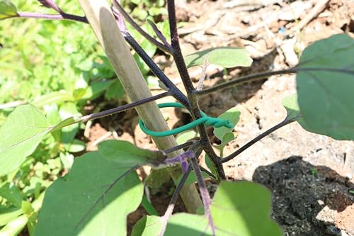 Garden Flexible Wire Tie, TPR Soft Twist Plant Ties Support Plant Vines for Supporting and Fixing Garden Planting Branches Vines & Stems ,Organize Data Wire and Office Organization (100ft, 0.2in) - size: 100ft