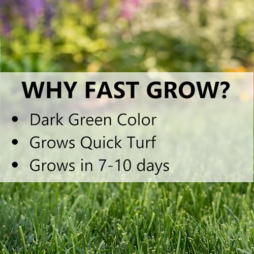 Jonathan Green Fast Grow Grass Seed - Cool Season Lawn Seed - 3 lb - size: 3 pounds