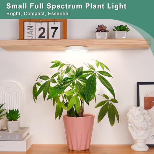 LORDEM Grow Lights for Indoor Plants,Ceiling Full Spectrum Plant Light 5V - size: 3.54in-1 Head