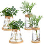 Layhit 4 Pcs Plants Propagation Stations vases Glass Planters with Wooden Lid and Bamboo Stand for Hydroponic Plants Gardening Gifts for Women Mom Home Office Tabletop Decoration(Stylish Style) - style: Stylish Style