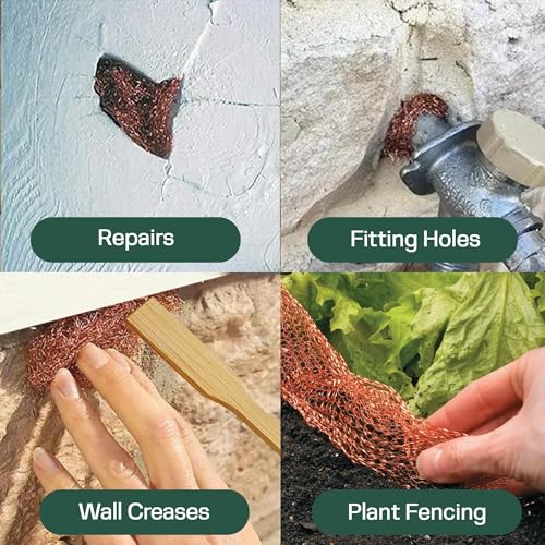 3rd Gen Copper Mesh Rodent Control Kit - Raytrends 100% Premium & Pure Copper Wool for Slug, Pest, Snail, Mice & Rat Control - Offers 2 Copper Mesh Rolls with Scissors and Packing Tool - size: Pack of 2 (5in x 35ft)