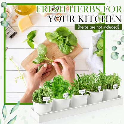 FoldTier 2 Sets Indoor Herb Garden Planter Kit with 10 Metal Pots, White - color: White