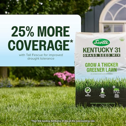 Scotts Kentucky 31 Grass Seed Mix, 40 lbs. - size: 40 lb
