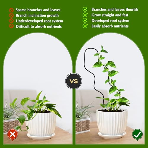 13.4 Inch Small Trellis for Potted Plants, Metal Plant Trellis Indoor - color: Black
