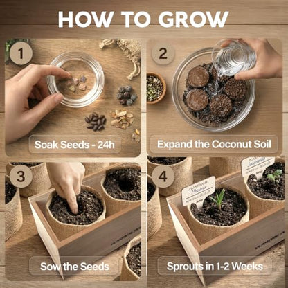 Bonsai Tree Kit Classic - Growing 5 Unique Japanese Bonzai Trees - size: Large 14"