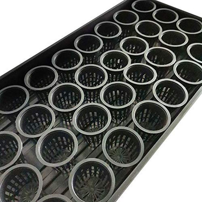 HORTIPOTS 2 Inch Net Pot, Wide Rim Design (Set of 75)