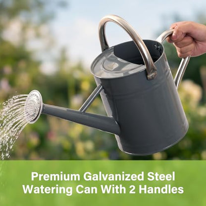 1 Gallon Metal Watering Can for Outdoor&Indoor Plants - color: Gray