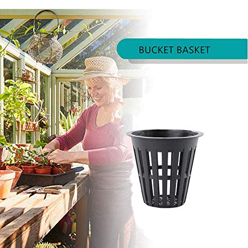 100PCS 2 Inch Garden Slotted Mesh Net Cups, Round Heavy Duty Net Cups Pots for, Hydroponics Slotted Mesh… - size: 2 inch Net Pots - 100 pack