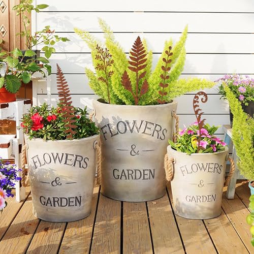 5 Pcs 14.2'' Rusty Metal Flowers and Plants, Rustic Fern Leaf Garden Stakes - color: 5pc