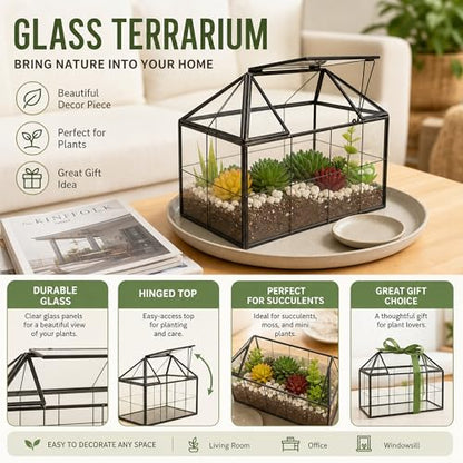 Ferrisland Glass Geometric Plant Terrarium, Clear Glass Succulent - size: 9.1" L x 5.4" W x 7.3" H