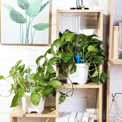 8 Set Plant Watering Devices with Self Spikes and Plastic Bottles, Clear - size: Clear