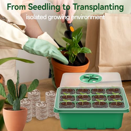 Seed Starter Tray with Peat Pellets, Green Starting Seeds Kit for Plants - size: 8 Set-green