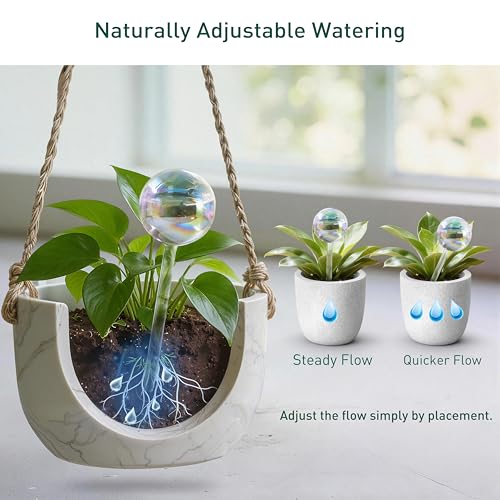 Soilagua Large Rainbow Plant Watering Globes, Extra-Thick Glass, 2 Pack - size: Large – 2 Pack