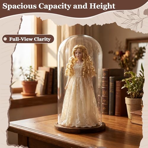 16'' × 8.66'' Glass Dome Cloche Display with Wood Base, Clear Display Jar - size: 8.66''×16''