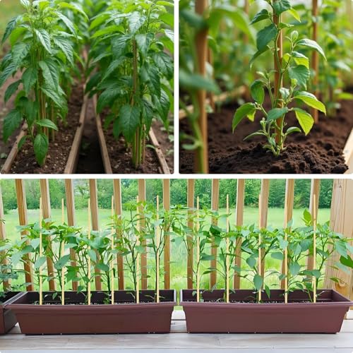 100 PCS 2.5FT Bamboo Plant Stakes, 6.3mm Thick - size: 30 inch