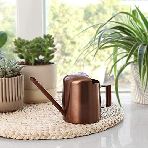 Mini Watering Can, 10oz/300ml Stainless Steel Long Spout Small Watering Can for Indoor Plants Succulents, Herbs (Bronze) - color: Copper