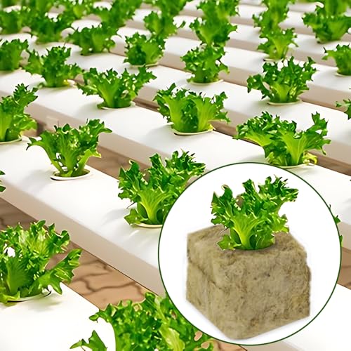 50pcs Planting Cubes Sponge Block Starter Plugs Stone Hydroponic Seed Block