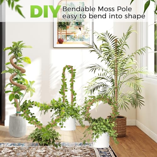Moss Pole Monstera Plant Support 2 Pack 50 Inch Bendable Monstera Support - size: 50 in (2 Pack)