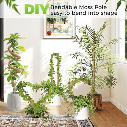 Moss Pole Monstera Plant Support 2 Pack 50 Inch Bendable Monstera Support - size: 50 in (2 Pack)