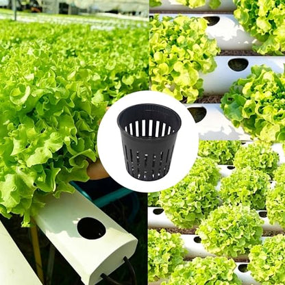 25PCS 2 Inch Net Pots for Hydroponics Slotted Mesh Net Cups Wide Lip Planting Baskets for Orchids Vegetables Indoor Outdoor Plant Growing - size: 25pcs
