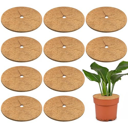 Legigo 10 Pack Coconut Fiber Mulch Ring Tree Plant Protector Mat, 11.8 Inch - color: 10 Pack, size: 11.8 Inch