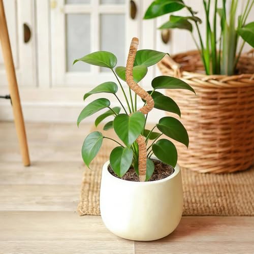 SYOWADA 2PCS 70cm Upgrade Adjustable Moss Poles for Indoor Plants