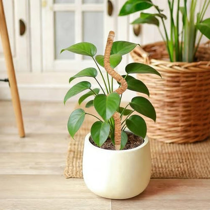 SYOWADA 2PCS 70cm Upgrade Adjustable Moss Poles for Indoor Plants