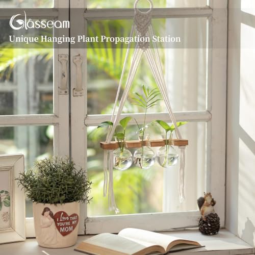 Glasseam Wall Hanging Propagation Station with 3Pcs Glass Propagation Vases