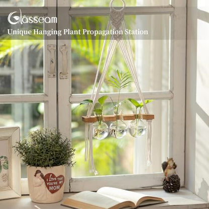 Glasseam Wall Hanging Propagation Station with 3Pcs Glass Propagation Vases