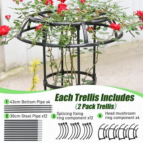 Quibbay 53 Inch Mushroom Top Garden Trellis for Climbing Plants,2 Pack - style: 4 Floors-10*53IN