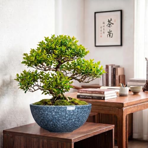 Bowl Planter, 12 Inch Ceramic Succulent Planters, Scale Blue - color: Scale Blue-1, size: 12 Inch