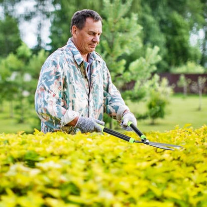 Telescoping Hedge Shears with Sharp 8 Inch Blades for Shrubs and Bushes