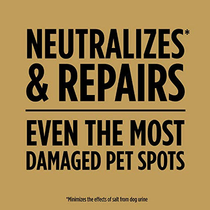 Scotts EZ Seed Dog Spot Repair Sun and Shade, 2 lbs.