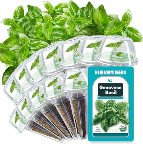 Basil Seed Pods for AeroGarden - 12 Hydroponic Refill Herb Pods with Seeds of Genovese Basil for Most Hydroponic Systems of Ahopegarden, GARDENCUBE, iDOO, and URUQ, Grow Your Own Herb Garden at Home - color: Genovese Basil