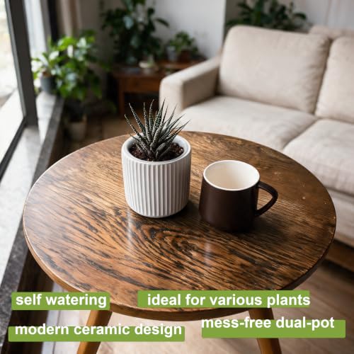 Small Ceramic self Watering Pot for Succulents, 4 inch, White,2pack - color: White, size: 4 inch