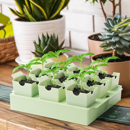 Seed Starter Tray with Lift-Out Handles for Easy Transplanting