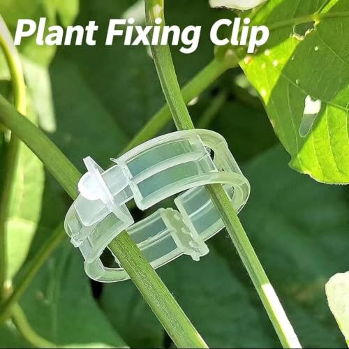 200 Pcs Plastic Trellis Plant Support Clips for Support, Grape and Tomato Vine, Vegetables Plants, Garden Clips to Grow Upright Makes Plants Healthier
