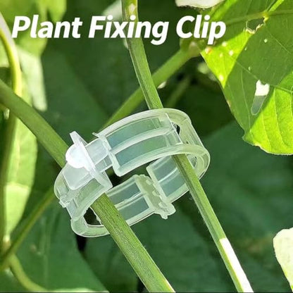 200 Pcs Plastic Trellis Plant Support Clips for Support, Grape and Tomato Vine, Vegetables Plants, Garden Clips to Grow Upright Makes Plants Healthier