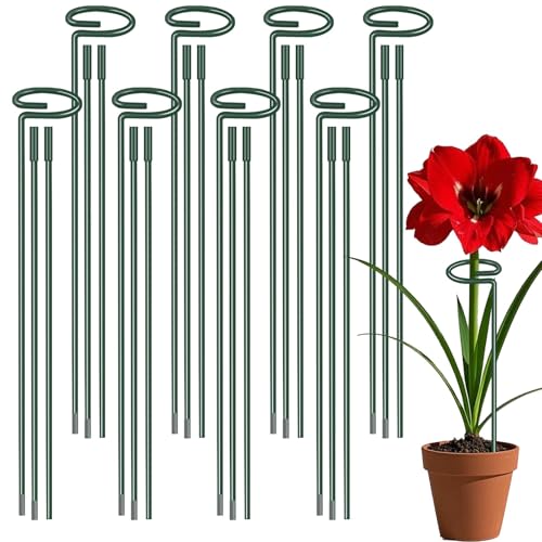 36 Inch Plant Sticks Support Tall Three Sizes (12 or 24 or 36 Inch), 8 Pcs 4.5mm Adjustable Outdoor and Indoor Plant Support, Garden Stakes for Plants Flowers Rose Tomatoes Peony Lily Rose Amaryllis