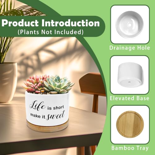 Motivational Funny Planter Pots, Life is Short Make It Sweet Ceramic Succulent Plant Flower Planters(No Plants) - color: Style 02