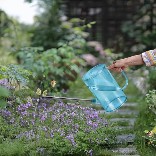 Plastic Watering Can - Small with Long Spout - 1/4 Gallon - 34 Oz - Blue - color: Blue