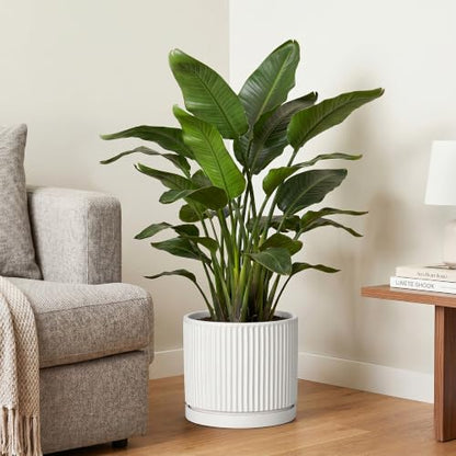 10 Inch Plant Pot, Ceramic Planters, Round Flower Pots, White - color: White, size: 10 Inch