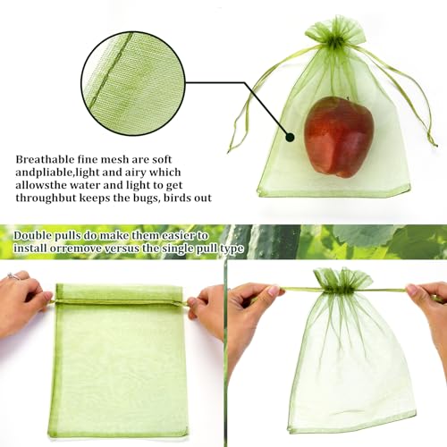 50 PCS 8X12 inches Fruit Protection Bags, Fruit Bags for Fruit Trees - size: 8X12