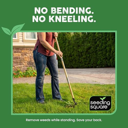Stand-Up Weed Puller Tool with Long Handle for Dandelions and Garden Weeds.