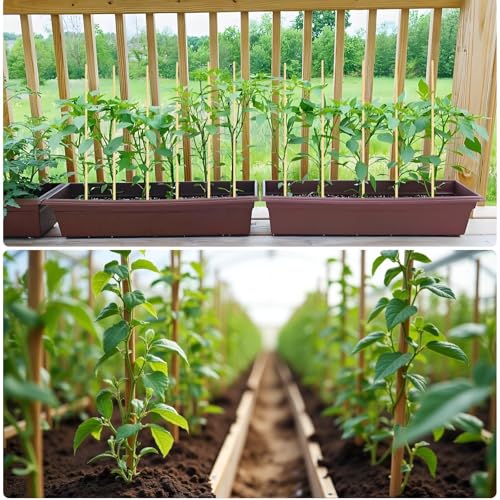 100 PCS 2FT Bamboo Plant Stakes, 6.3mm Thick Bamboo Stakes - size: 24 inch 6.3mm