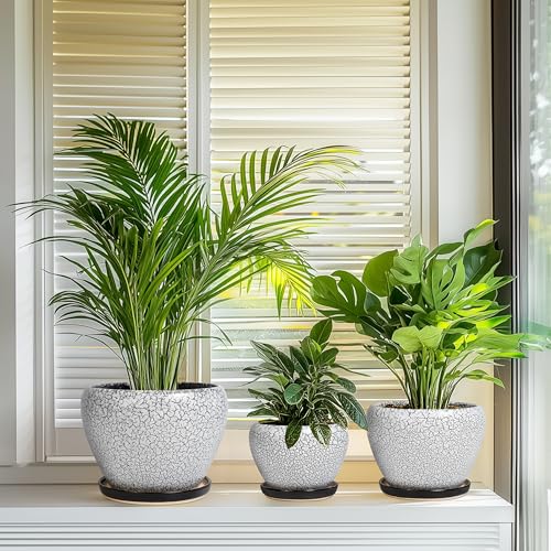 Ceramic Plant Pots, 10+8+6 Inch Flower Pot Indoor, White-Black - color: White-black