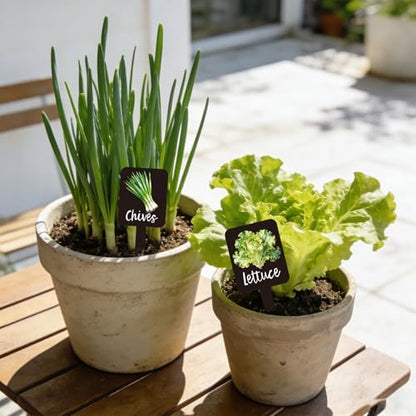 Whaline 20Pcs Watercolor Vegetable Fruit Plant Label Signs, 20 Styles - color: Black