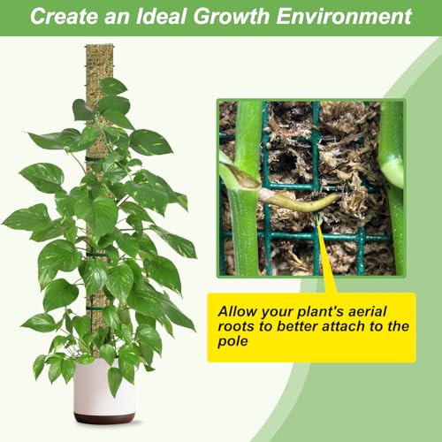 60" Metal Moss Pole, D Shape Sphagnum Moss Pole, Moss Poles for Climbing Plants, Monstera, Indoor Climbing Plants (6Pcs 60") - style: 6Pcs 60"