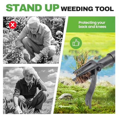 Weed Puller Tool Stand Up Weed Puller Tool with 3-Section Bamboo Handle & 4-Claw Steel Head Manual Weeder for Lawn and Garden (Bamboo)